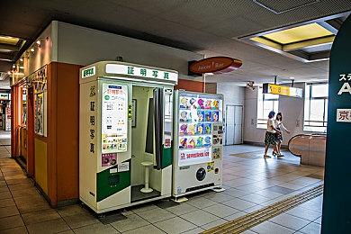 《方舟：生存进化》夏日海洋DLC深海冒险启程，官方持续修复优化